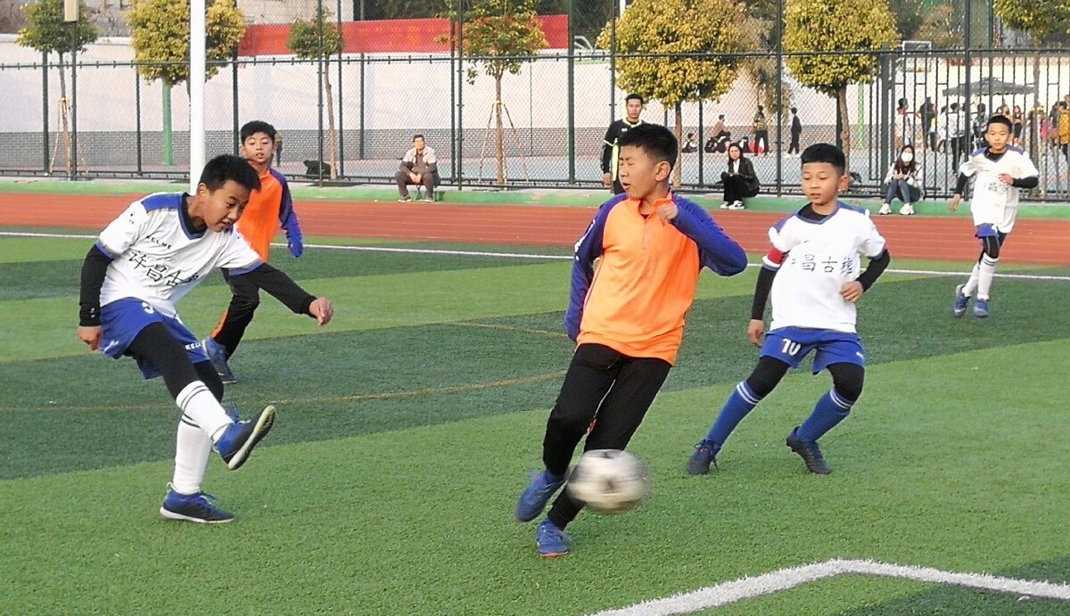 对组合在比 对组合在比